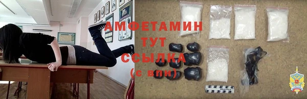 МДПВ Снежногорск
