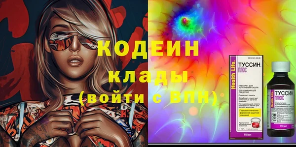 МДПВ Снежногорск