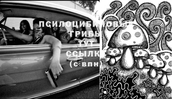 МДПВ Снежинск