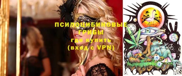 ГАЛЛЮЦИНОГЕННЫЕ ГРИБЫ Абдулино