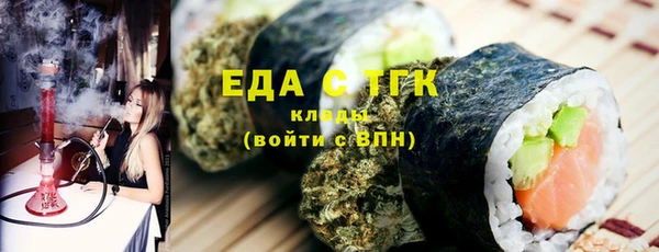 МДПВ Снежинск
