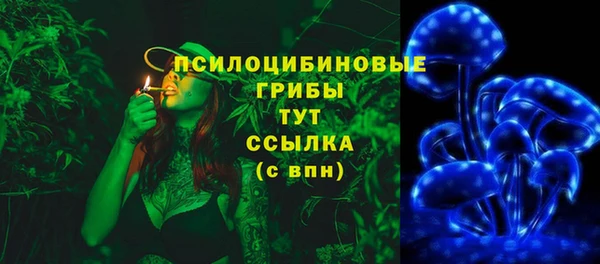 2c-b Абаза