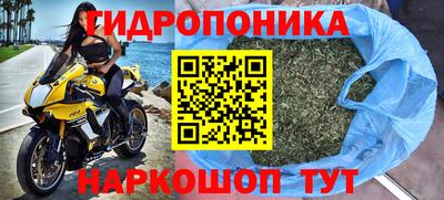 стаф Краснокаменск