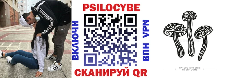 Галлюциногенные грибы Psilocybe  Каменка 